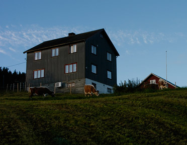 Gården